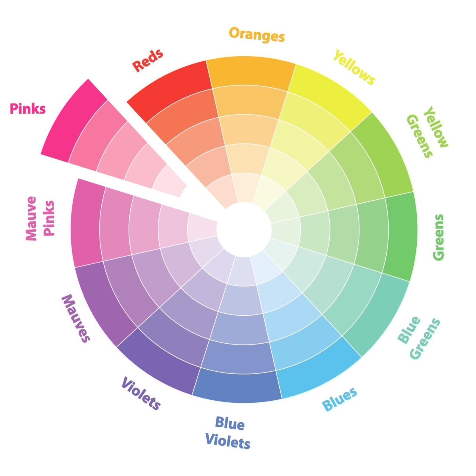 Graphic Design: Color Palettes That Will Dominate 2025